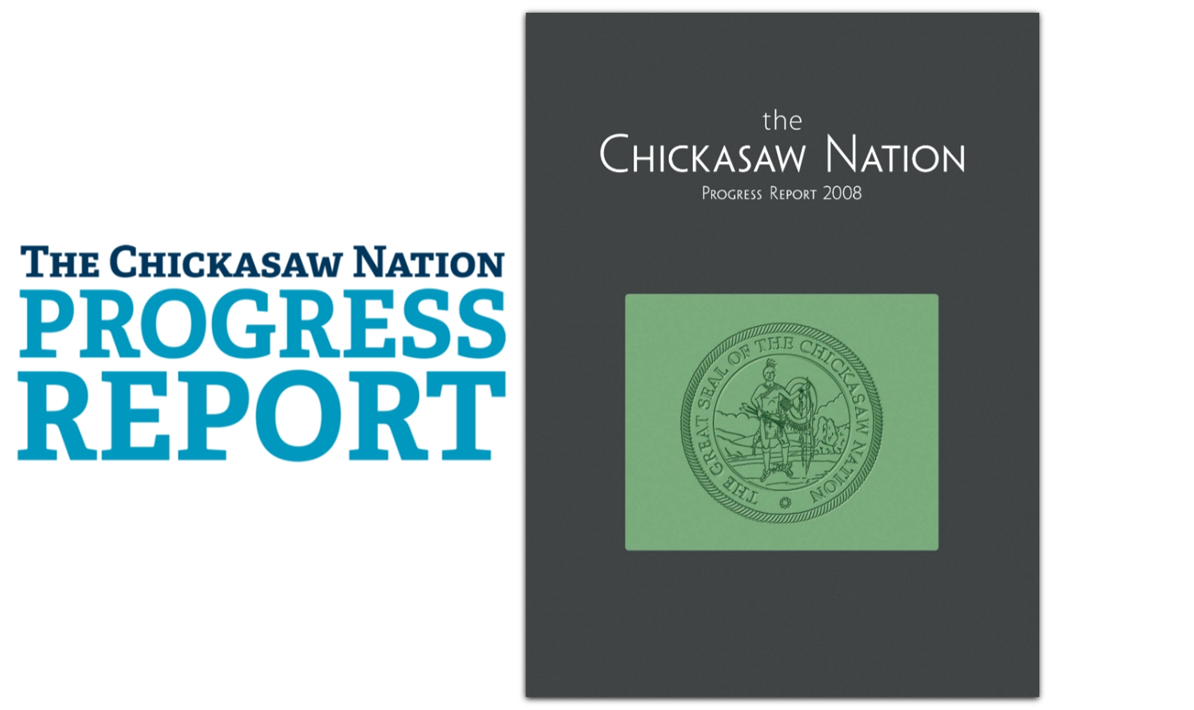 2008 Progress Report